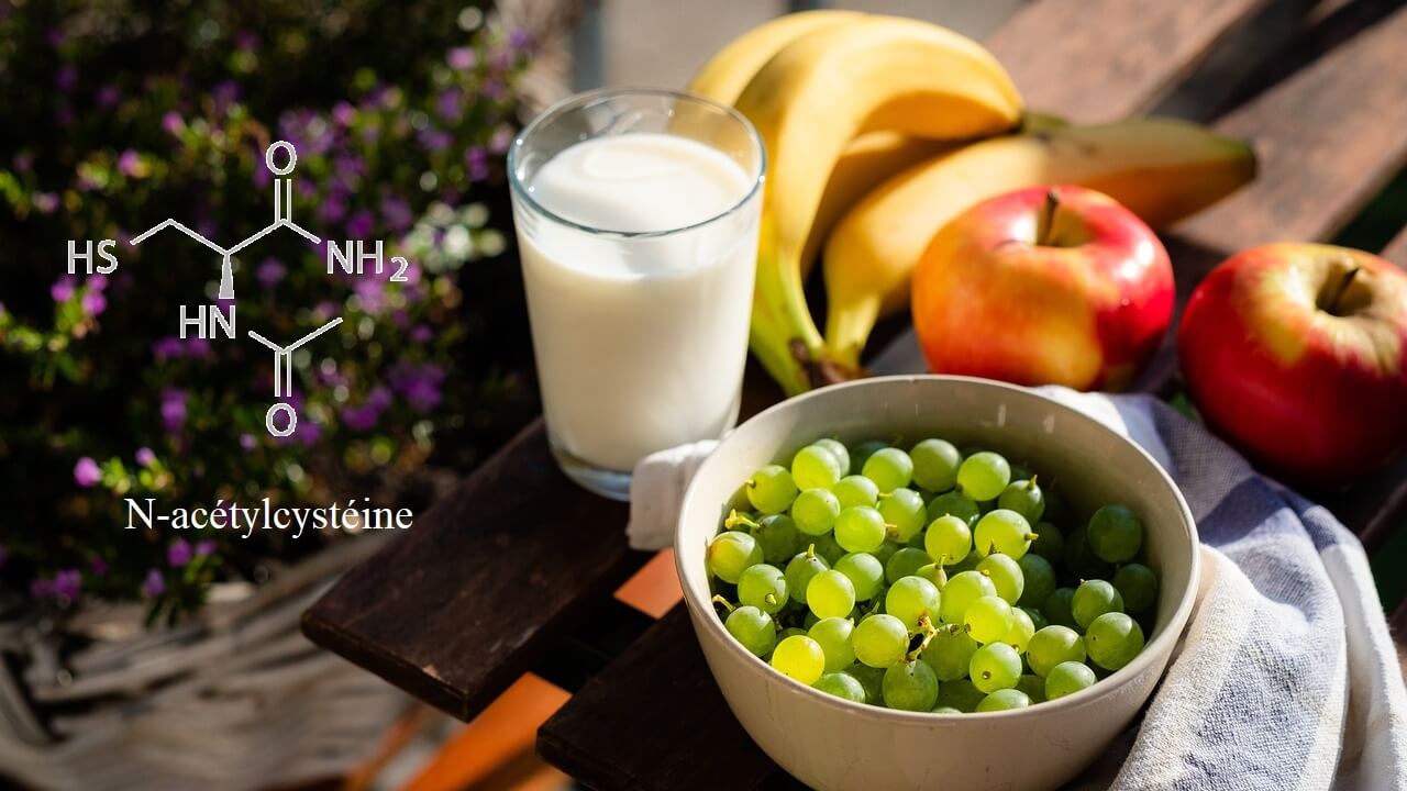 Quels aliments contiennent cet acide aminé : la N-acétylcystéine (NAC) ?